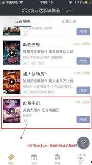 动画国产饺子视频播放,跨越国界，绽放魅力