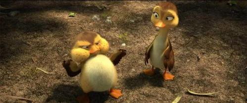 国产鸭子1视频,探寻本土鸭种魅力与养殖奥秘