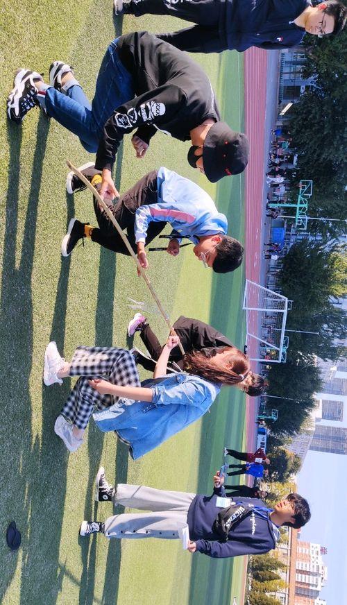 你懂的视频国产在线看,在线观看的独家指南