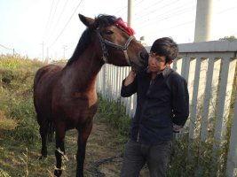 国产有马精品视频,有马风采，光影交织的艺术盛宴