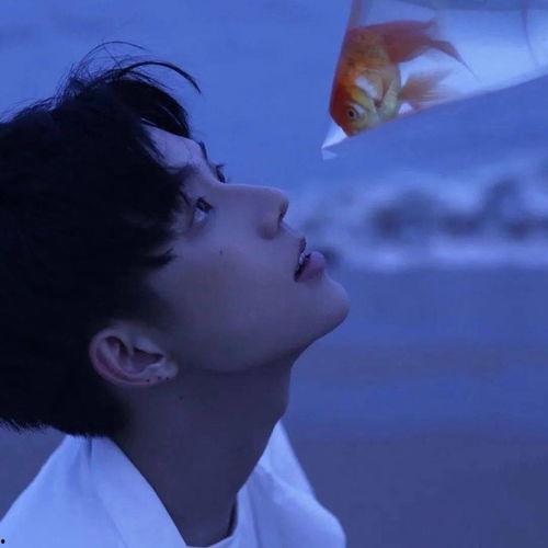 国产情人头像大全套视频,重温经典，解锁浪漫回忆