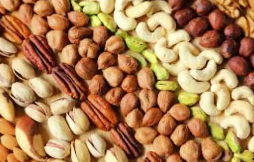 国产坚果种植视频