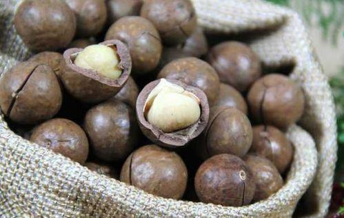 国产坚果种植视频