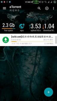 视频国产磁力,引领科技潮流的创新力量