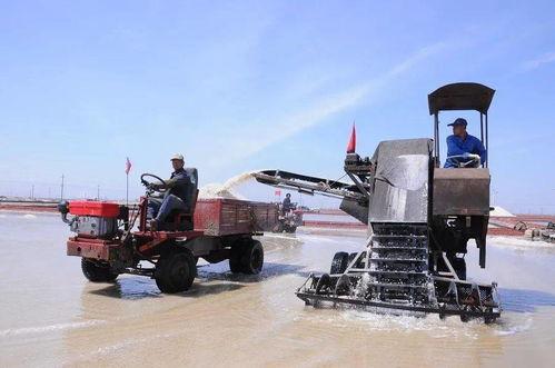 国产最大的农机视频大全,全方位展示国内最大农机视频大全  第2张