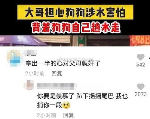 冒充国产女生的视频网站,揭秘网络诈骗背后的真相  第3张