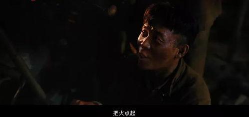 国产电影视频毛茸茸,国产电影中的温馨萌宠之旅  第3张