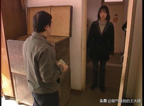 视频破案的美剧推荐国产,揭秘国剧中的视频破案传奇  第3张