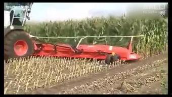 国产棉花收割机视频,助力农业现代化发展